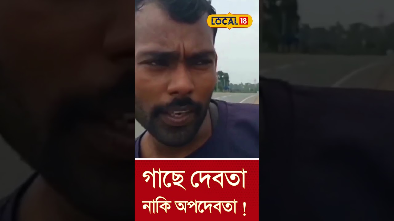 Bangla News | গাছে দেবতা নাকি অপদেবতা ! কেটে ফেলায় ঘটছে বার বার দুর্ঘটনা , এরপর |  #local18shorts