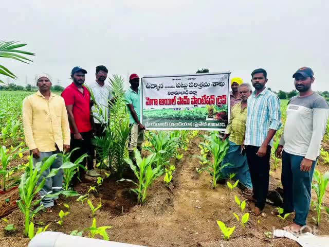 బాల్కొండ: ఆయిల్ ఫామ్ సాగు, లాభాలపై మెండోరలో రైతులకు అవగాహన కల్పించిన మండల ఉద్యాన అధికారి రుద్ర వినాయక్