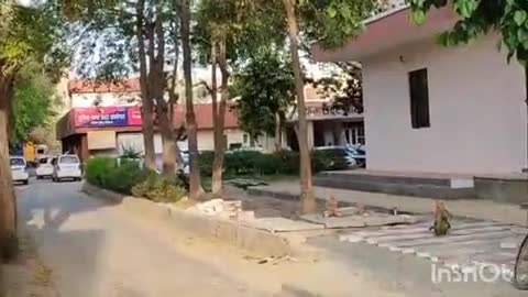 सोनीपत: स्कूल बस चालक ने सोनीपत में छात्रा से किया बलात्कार, जान से मारने की भी दी धमकी