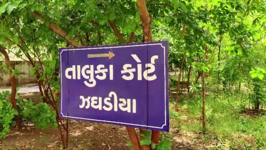 ઝઘડિયા: ઝઘડિયા બાર એસોસિએશન એડવોકેટ ગોપાલ ઇટાલિયાના સમર્થનમાં આવ્યાં