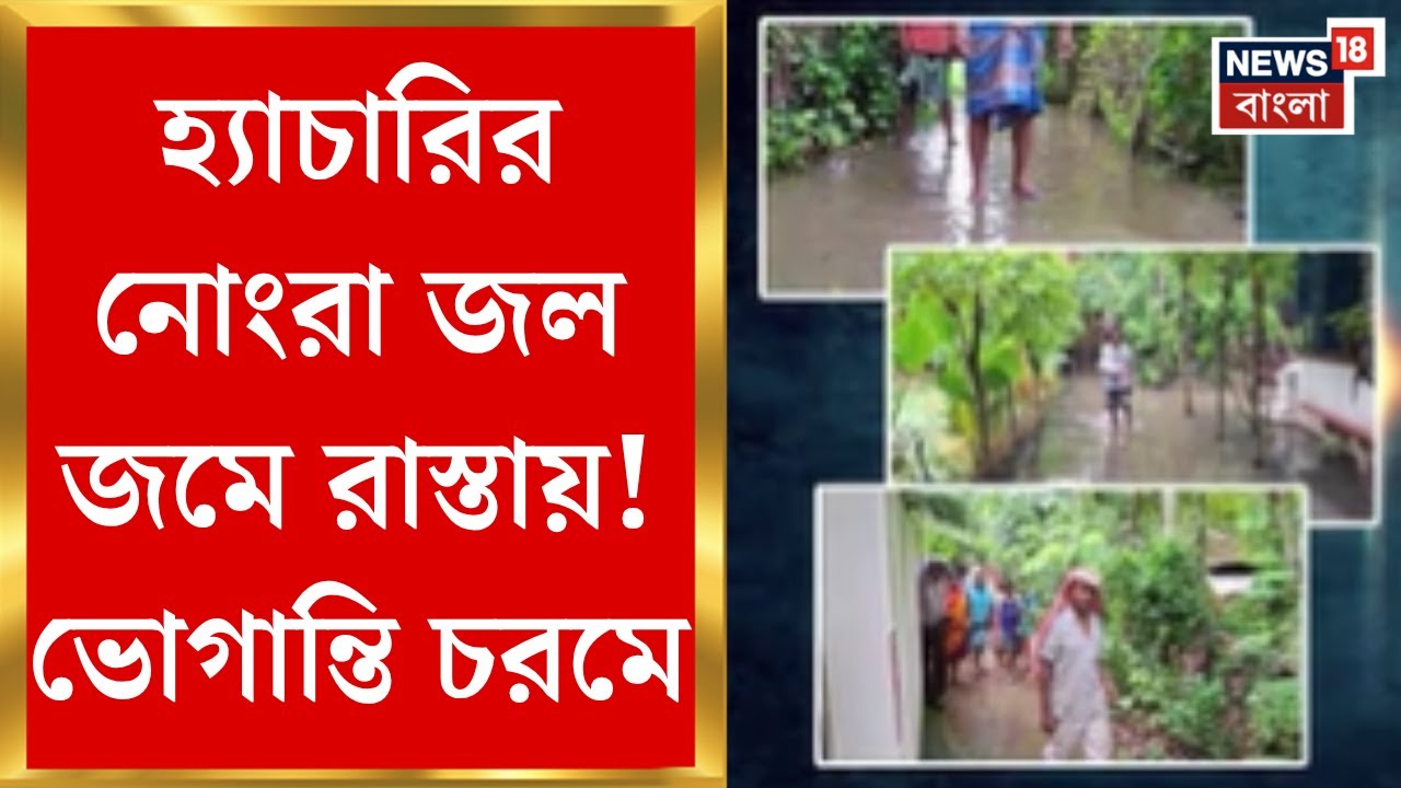Jagaddal News : হ্যাচারির নোংরা জল জমে রাস্তায়! ভোগান্তি চরমে জগদ্দলের বাসিন্দাদের। Bangla News