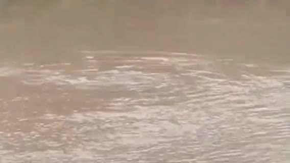 नरसिंहपुर: तलापार पुलिया में बहने वाले युवक को लोगों ने किया था मना, चश्मदीद ने कहा- युवक नशे में था