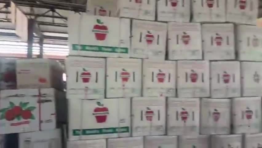 सोलन: सेब मंडी सोलन में पहुंचा लो हाइट का सेब, किसानों को मिले अच्छे दाम