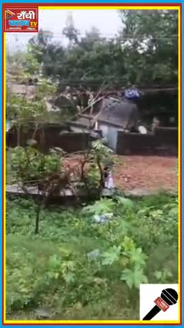 डोरंडा में बारिश का कहर! Batan Talab Futa | Ranchi Talab Disaster 2025

#RanchiNews #DorandaFlood #BatanTalab #Ranchi