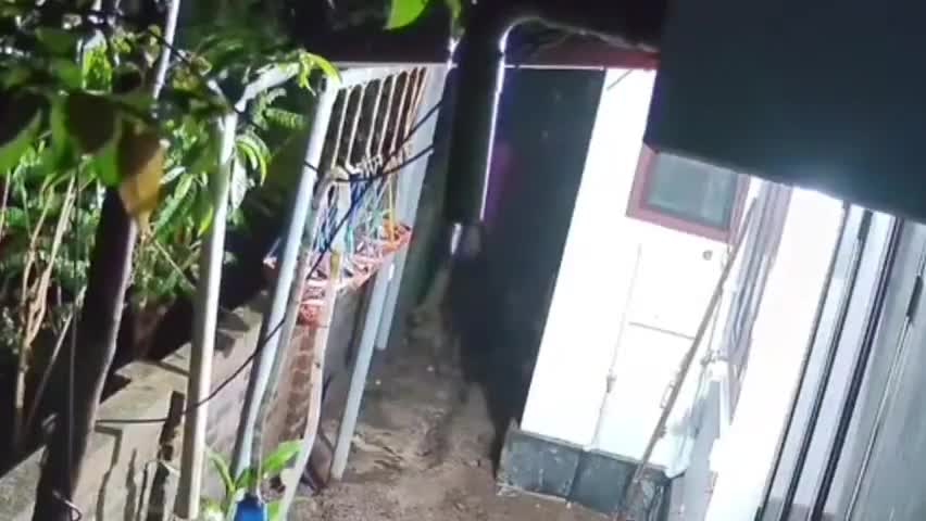 ചാവക്കാട്: പാവറട്ടി മനപ്പടിയില്‍ വീട്ടില്‍ മോഷണ ശ്രമം, മോഷ്ടാവിന്റേതെന്ന് കരുതുന്ന സി.സി.ടി.വി ദൃശ്യം പുറത്ത്