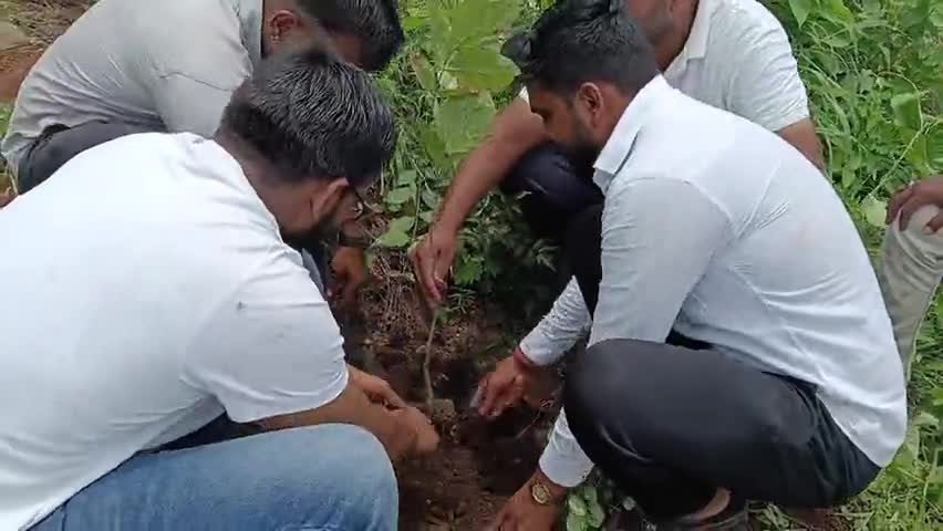 बुरहानपुर नगर: बुरहानपुर: बमभाडा शिव टेकड़ी पर आऊ साहेब जिजाऊ फाउंडेशन द्वारा पौधा रोपण कार्यक्रम आयोजित