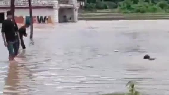 हुज़ूर: मूसलाधार बारिश से भाजपा विधायक नागेंद्र सिंह के घर में घुसा पानी, प्रशासनिक लापरवाही का आरोप