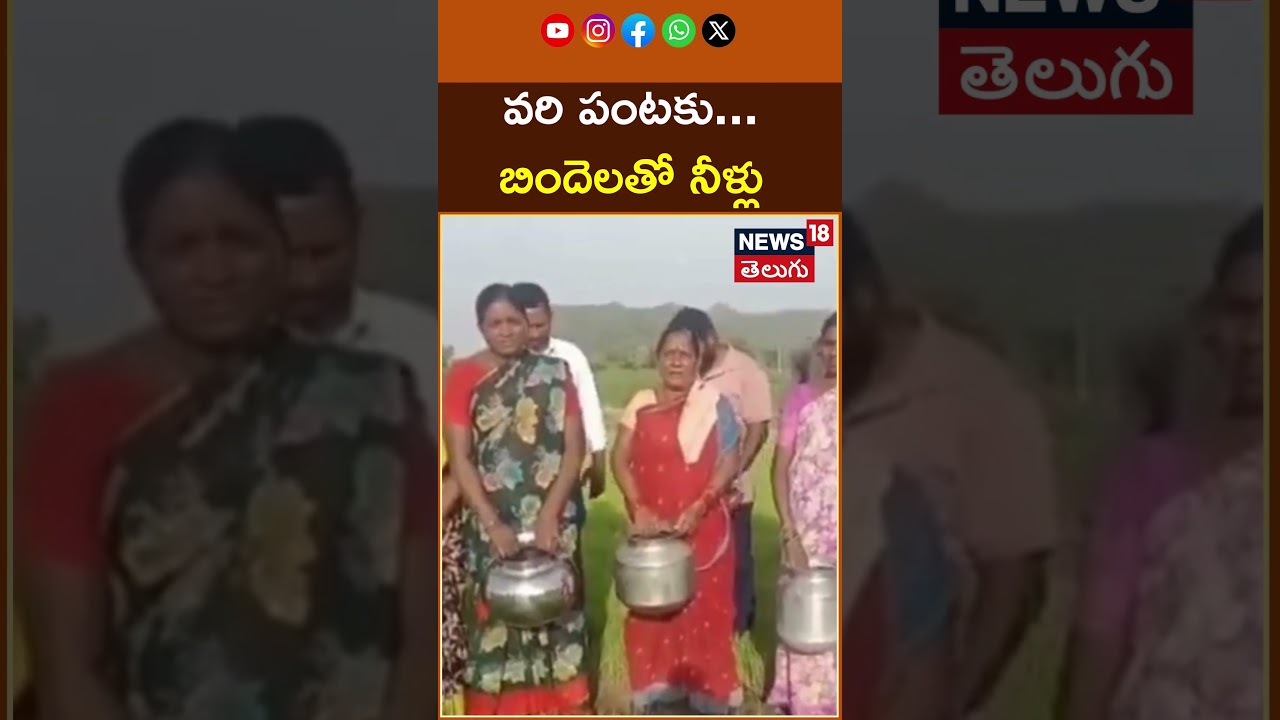 Women carrying water in pots for the paddy crop | వరి పంటకు బిందెలతో నీళ్లు | News18 Telugu