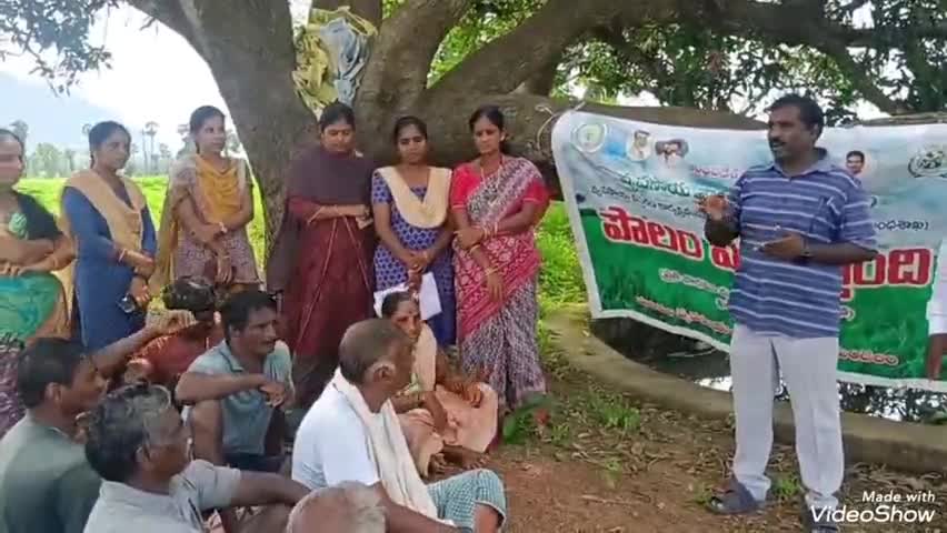 గజపతినగరం: తగిన జాగ్రత్తలతో వరి నారుమళ్లను సంరక్షించుకోవాలి: వసాదిలో మండల వ్యవసాయాధికారి శ్యాం కుమార్