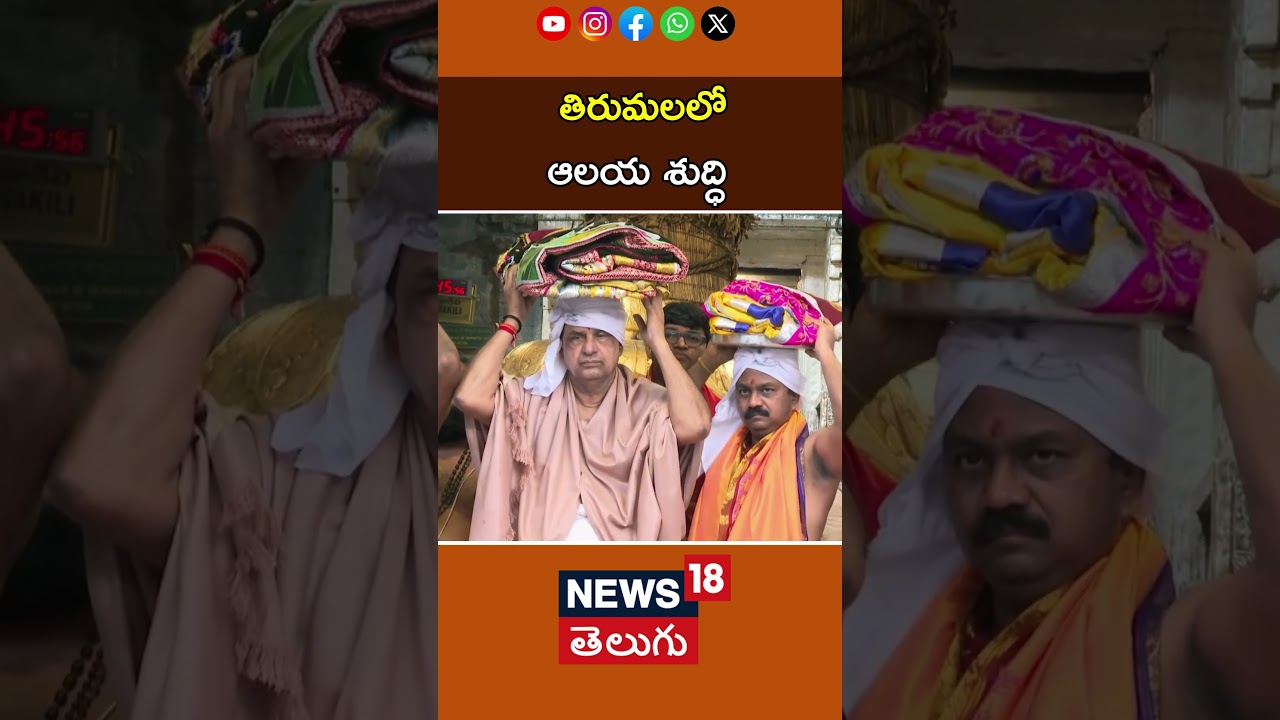 TTD officials clean Tirumala temple ahead of Ani Varam Asthanam festival | తిరుమలలో ఆలయ శుద్ధి |N18S