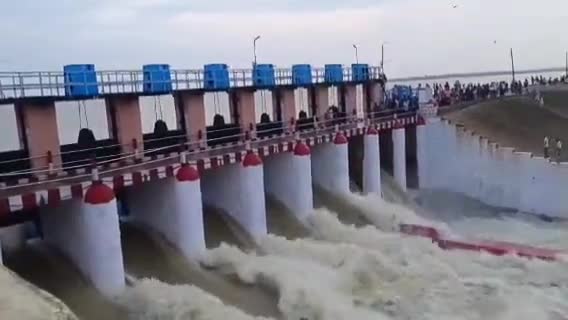 ललितपुर: गोविंद सागर बांध के 8 गेट खोलकर की जा रही है पानी की निकासी, मूसलाधार बारिश के कारण सभी बांध लबालब भरे