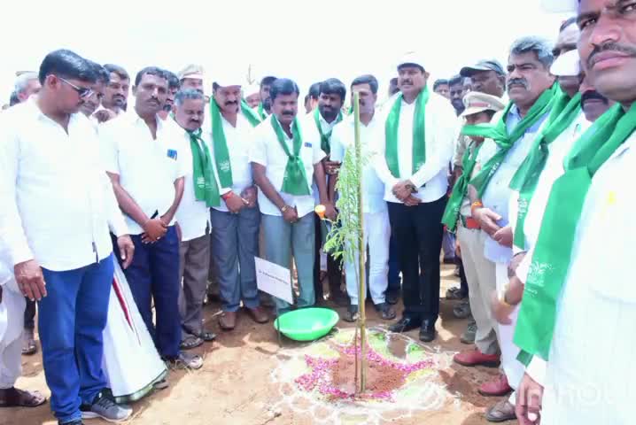 తాండూరు: పచ్చని తెలంగాణే లక్ష్యంగా వన మహోత్సవం: తాండూర్ ఎమ్మెల్యే మనోహర్ రెడ్డి
