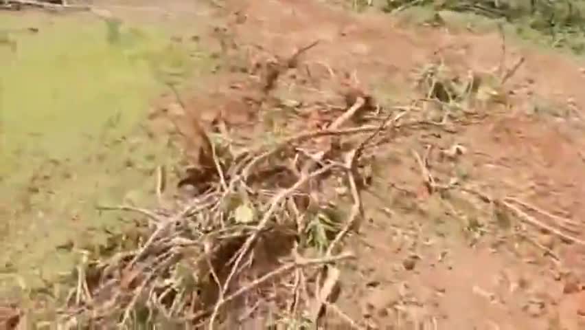 రేగోడు: దోసపల్లిలోని పల్లె ప్రకృతి వనం ధ్వంసం చేసిన దుండగులపై చర్యలు తీసుకోవాలని అధికారులకు గ్రామస్తుల ఫిర్యాదు