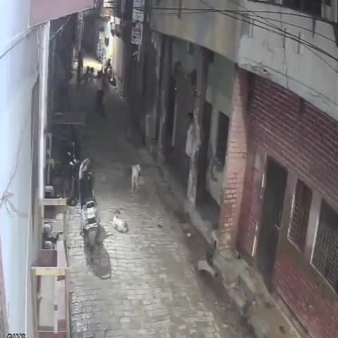 उन्नाव: गंगाघाट कोतवाली क्षेत्र में छात्रा के साथ छेड़छाड़ की शिकायत करने पर हुई मारपीट, घटना का सीसीटीवी वीडियो हुआ वायरल