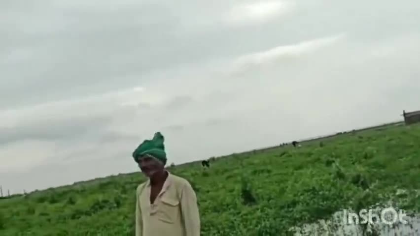 ब्रह्मपुर: गंगा नदी के जलस्तर में वृद्धि से नैनीजोर के दियारा इलाके के किसान परेशान, परिश्रम पर फिरा पानी