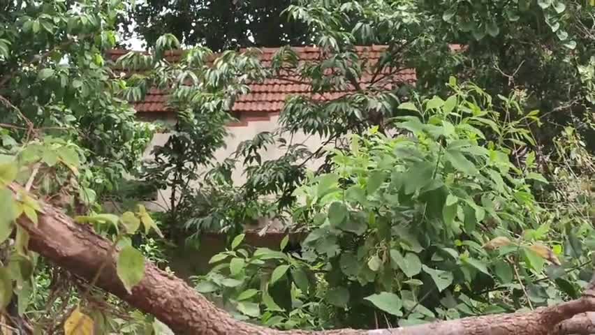 ಮಳವಳ್ಳಿ: ಪಬ್ಲಿಕ್ ಆ್ಯಪ್ ವರದಿ ಫಲಶೃತಿ; ತಾ.ಪಂ ವಸತಿಗೃಹ ಆವರಣದ ಸ್ವಚ್ಛತಾ ಕಾರ್ಯ #localissue