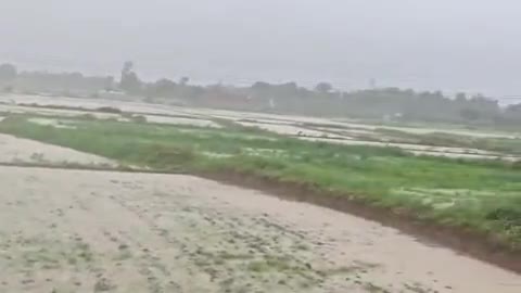 करछना: यमुनापार क्षेत्र में 16 घंटे से हो रही मूसलाधार बारिश से किसानों की फसलें हुई जलमग्न व सड़कों पर भरा पानी