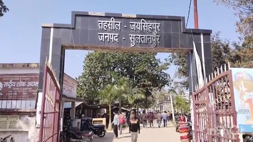 जयसिंहपुर: बगिया चौराहे पर पुरानी तहसील के पास सड़क पर महुआ का पेड़ गिरने से आवागमन हुआ बाधित, बाल-बाल बचे लोग