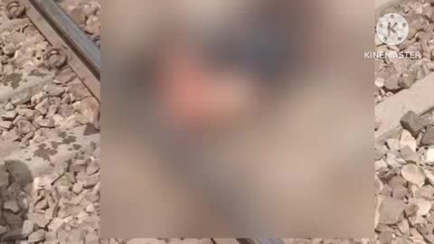 कठूमर: दांतिया पुलिया के पास ट्रेन के आगे कूदकर एक युवती ने की खुदकुशी