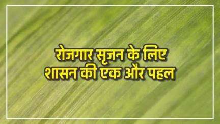 मुख्यमंत्री भूपेश बघेल के प्रयासों से छत्तीसगढ़ में लगातार हो रहे रोजगार सृजन 

#Employment #Chhattisgarh #CGModel