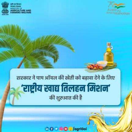 सरकार ने पाम ऑयल की खेती को बढ़ावा देने के लिए 'राष्ट्रीय खाद्य तिलहन मिशन' की शुरुआत की है।
#agrigoi #agriculture #PalmOil #Edible #Oil #DigitalAgriculture #DigitalKisan #AatmaNirbharKrishi 
#agribusiness #agritech #Farming