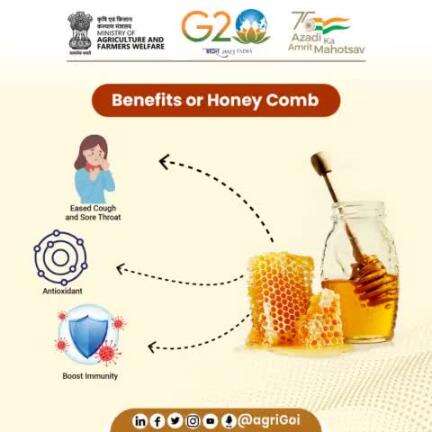 Benefits of Honey Comb.
#agrigoi #honey #apiculture #bees #NBHM #NBB 
#Honeybees #G20