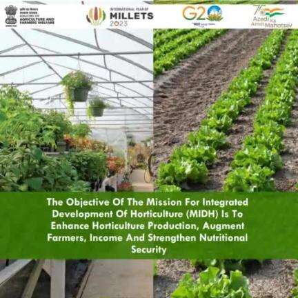 The objective of the Mission for Integrated Development of Horticulture (#MIDH) is to enhance horticulture production, augment farmers, income and strengthen nutritional security. 
#agrigoi #horticulture #farmers