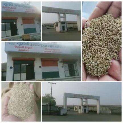 1st interstate trade of #Ajwain ion #eNAM from Nandurbar, Maharashtra to Nizar, Gujrat at fair and transparent pricing, direct from #farmers. #agrigoi #agribusiness #agrimarket #etrade #digitalfarming #digitalIndia