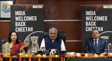 केंद्रीय पर्यावरण, वन मंत्री  #byadavbjp ने 12 चीतों को दक्षिण अफ्रीका से भारत लाने की घोषणा की है। उन्होंने बताया कि इन चीतों को मध्य प्रदेश के #कूनो राष्ट्रीय उद्यान में 18 फरवरी को स्थानांतरित किया जाएगा।

➡️विवरण: https://t.c