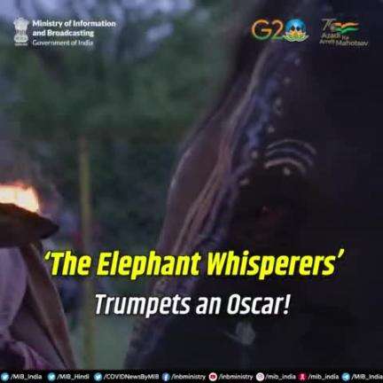 ‘The Elephant Whisperers’ trumpets an #Oscars and wins hearts across the world!