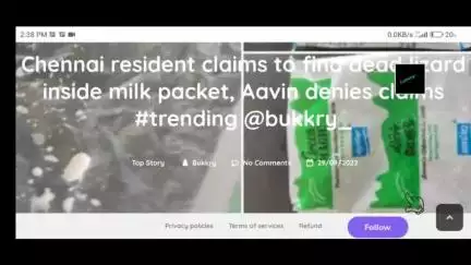#Chennai #resident claims to find dead #lizard inside #milk packet, #Aavin denies claims #bukkry