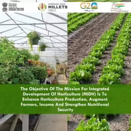 The objective of the Mission for Integrated Development of Horticulture (#MIDH) is to enhance horticulture production, augment farmers, income and strengthen nutritional security. 
#agrigoi #horticulture #farmers