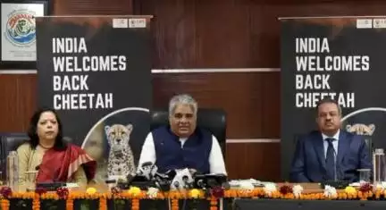 केंद्रीय पर्यावरण, वन मंत्री  #byadavbjp ने 12 चीतों को दक्षिण अफ्रीका से भारत लाने की घोषणा की है। उन्होंने बताया कि इन चीतों को मध्य प्रदेश के #कूनो राष्ट्रीय उद्यान में 18 फरवरी को स्थानांतरित किया जाएगा।

➡️विवरण: https://t.c