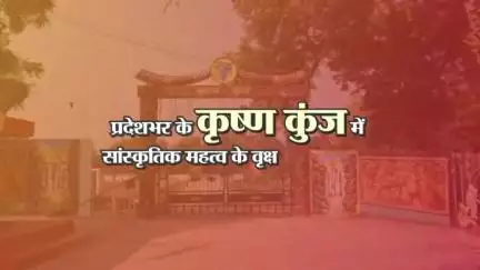 छत्तीसगढ़ के "कृष्ण कुंज" में 
सांस्कृतिक महत्व के वृक्ष ले रहे आकार
हरियर नवा छत्तीसगढ़ का सपना 
हो रहा साकार 

#CGModel #छत्तीसगढ़_सरकार_भरोसे_की_सरकार