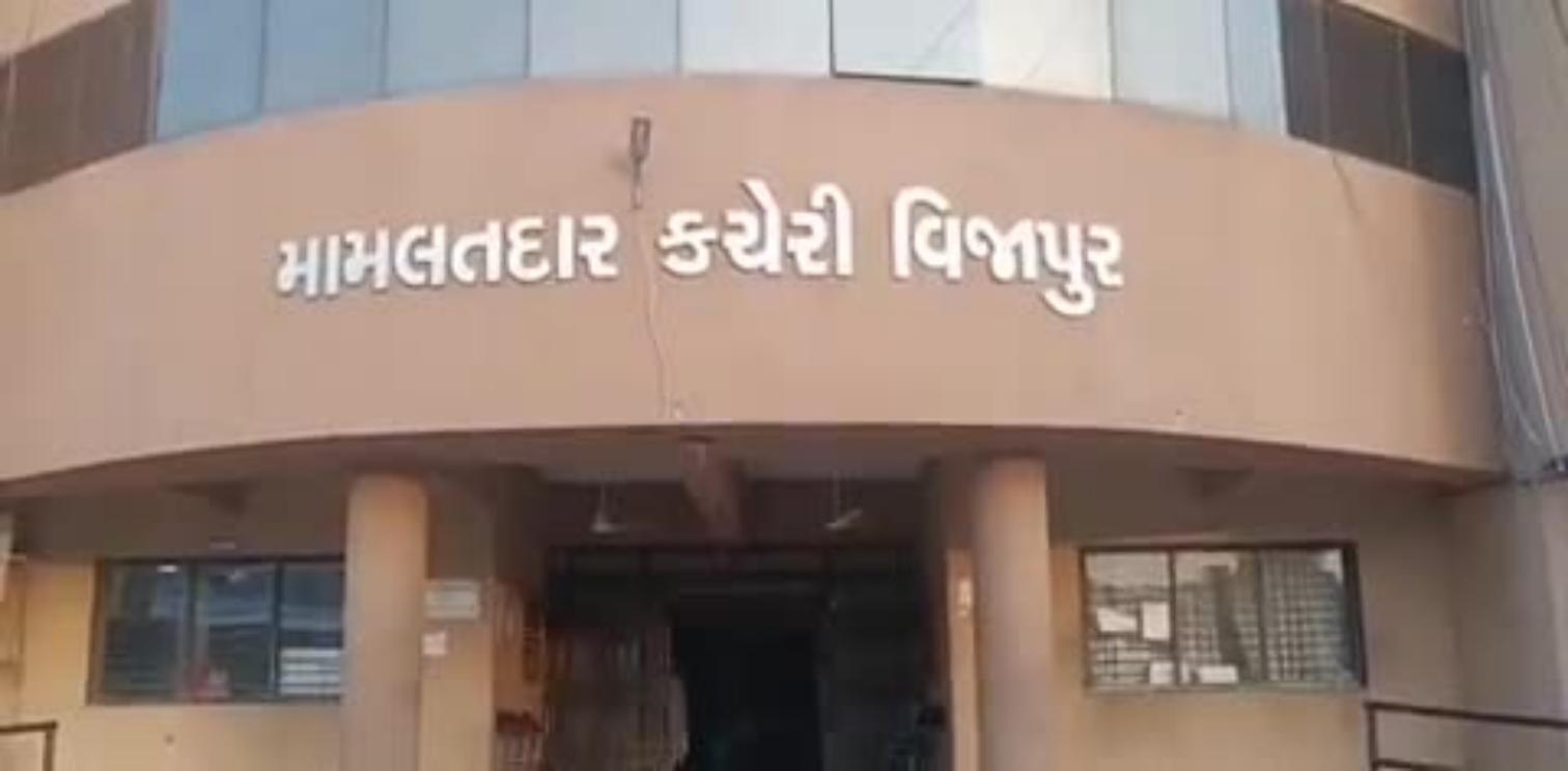 વિજાપુર: વિજાપુર તાલુકામાં મામલતદાર ડિઝાસ્ટર વિભાગ મા કુલ 579 એમ એમ વરસાદ  નોંધાયો - Vijapur News