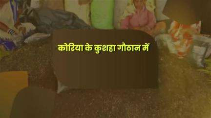 गौठान एक - रोज़गार अनेक: सफ़लता की एक और बेमिसाल कहानी।
#CGSuccessStory #Gothan #CGModel #CGEmployment #ruralindustrialpark