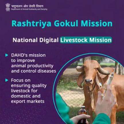 Digital Revolution in Livestock: National Digital Livestock Mission – Enhancing Productivity, Ensuring Quality. #RashtriyaGokulMission #Nationaldigitallivestockmission #productivity