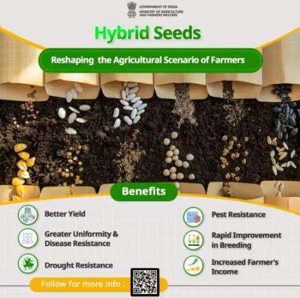 Hybrid Seeds offer improved yields, natural resilience, consistency, and performance benefits increasing overall crop productivity and enhancing farmers' income.

#agrigoi #hybridseeds #farming