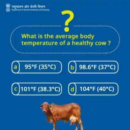 Test your knowledge of bovine biology! Can you guess the average body temperature of a healthy cow?     
Share your answer in the comments below! 
#bovinecow #Trending  #livestockhealth #animalhusbandry