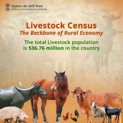 Empowering Rural Livelihoods: The Livestock Census reveals a total population of 536.76 million.
#livestockcensus