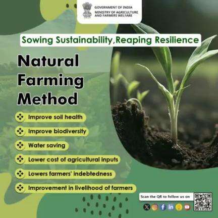 Sow Sustainability, Reap Resilience

#NaturalFarming minimizes synthetic inputs, relying on natural processes for #soilhealth and crop vitality, resulting in reduced costs, improved fertility, enhanced biodiversity, and more.