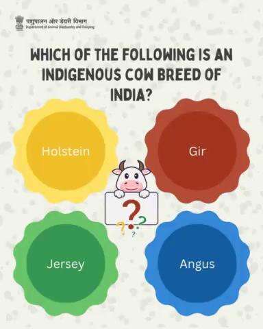 Can you guess the indigenous breed? Let's test your knowledge of Indian cattle!
#cattle #livestock #indigenousbreed #quiz_time