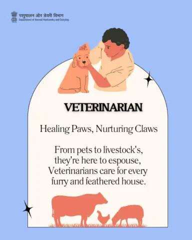 A #veterinarian is a professional dedicated to the health and welfare of #animals, providing expert care and guidance across species and settings.