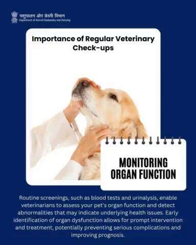 Guarding Health: Routine screenings monitor organ function, catching issues early for better treatment outcomes. #veterinarianscare #animalwelfare #OneHealth #petcare