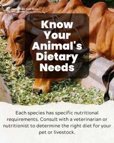 Tailoring diets for optimal health: Recognizing the unique dietary needs of each species is key. Consultation with experts ensures your pets or #livestock receive the perfect balance of #nutrients for their well-being. #animalwelfare