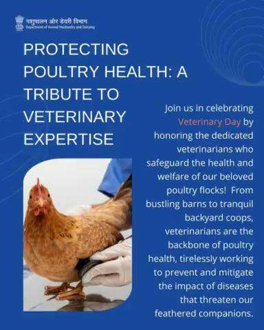 Let's honor the veterinarians who safeguard our poultry flocks, ensuring their health and happiness! #VeterinaryDay #PoultryHealth  #worldveterinaryday