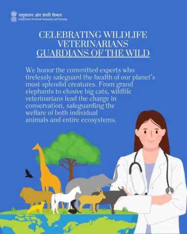 Saluting the tireless efforts of wildlife #veterinarians who protect our planet's majestic creatures, from elephants to big cats. Their dedication ensures the well-being of individual animals and the preservation of entire #ecosystems.