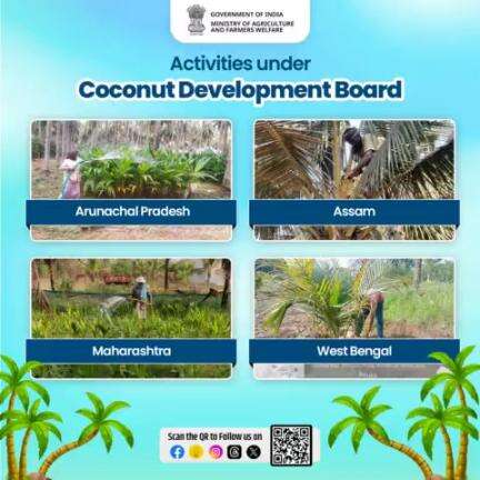 The Coconut Development Board undertook various farm activities & events such as #weeding, #ploughing, #irrigation etc. during the second fortnight of April at DSP Farms of Maharashtra, West Bengal, Andhra Pradesh & Assam.