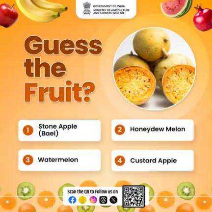 Take part in the agriculture quiz and test your knowledge!
.
Guess the fruit in the picture & let us know the answer in the comment down below.
#agrigoi #GuessTheFruit #agriquiz