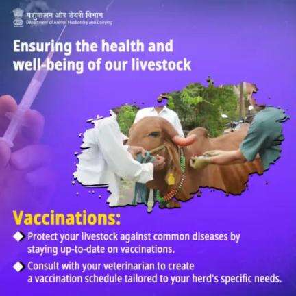 Keep your animals healthy and thriving with proper vaccination protocols.
#LivestockHealth #vaccinations